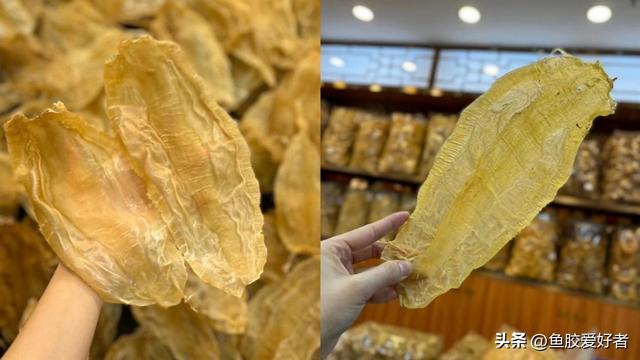 双背花胶和尖尾花胶 2026年双背花胶和尖尾花胶的区别