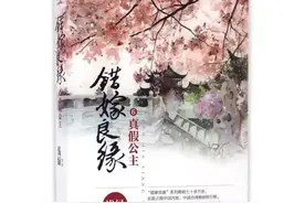 错嫁良缘续系列图片