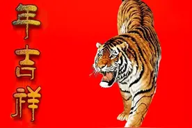 老虎的王者气派图片