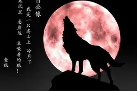 “孤狼”司马南，还是听《光明网》的劝吧！图片