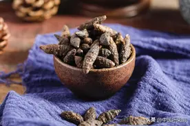 肝气一通，耳鸣就消，重用香附，疏肝解郁，理气宽中图片