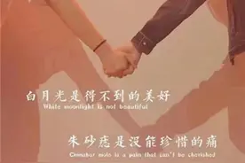 白月光和朱砂痣图片