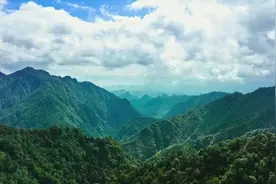 万物之声 | 感受大自然的心跳图片