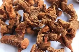 【香料和美食的秘密50】潮汕卤水的定味法宝——良姜图片