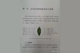 武夷岩茶的功能成分与功效图片