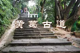 重庆南山登山入门攻略：黄葛古道图片