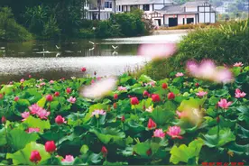 铜梁：文体旅融合发展 助推乡村振兴图片