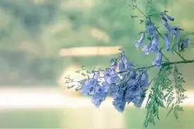 晚年单身的女人，生活中最难熬的是什么？58岁独居阿姨说出心里话图片