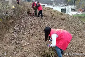 【关爱服务】以行动传递真情 用关爱温暖人心图片