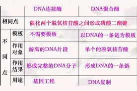 高中生物基因工程中9个重要知识图解图片