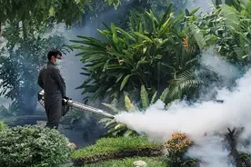你不知道的蚊蝇生意：成本几毛，年入10亿图片