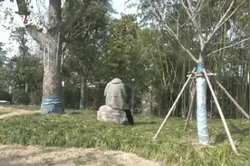 “黄昏骗”！76岁大爷求偶结果被男子诈骗十多万！图片