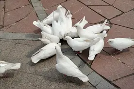 5个搞笑对话图片