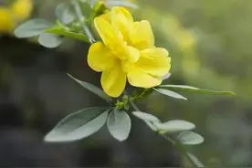 “娘家是你的后台，要多顾娘家！”我离婚、有难处时，娘家去哪了图片