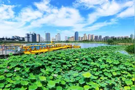 “共建清洁美丽安阳”抖音短视频大赛开始啦！现金大奖等你来拿！图片