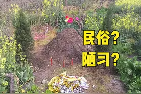 农村老人说，清明节4类人不能去上坟，指哪4类？民俗还是陋习？图片