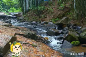 竹林溯溪，徒步绿道，​黄埔秘境在这里图片