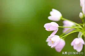 这4个星座，爱上一个人，就很难放手，个个都是“痴情种”图片