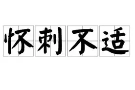 今日成语典故：怀刺不适图片