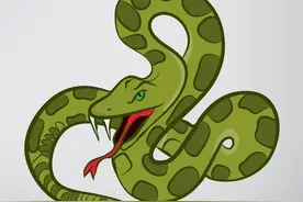 《故事》十二生肖蛇图片