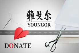 雅戈尔13.6亿元资产捐赠“乌龙”背后：多元化革新受阻图片