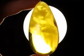 蜜蜡真的具有灵性吗？长期佩戴之后蜜蜡就会认主吗？：松岗琥珀图片