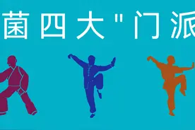 肠道细菌四大“门派”：拟杆菌门，厚壁菌门，变形菌门，放线菌门图片