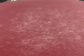 心机流浪猫刮坏保时捷碰瓷霸总，以为死定了，没想到..太甜了吧图片