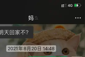警察妈妈的口头禅！图片