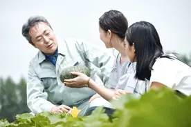 微型小说：桃花运图片