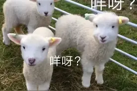 有片 | 港乐DNA狂动！谁懂图片