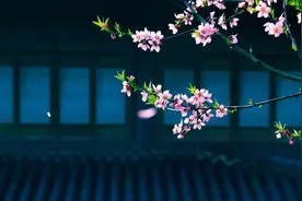 贺铸最经典的10首宋词，凌波横塘，梅子疏雨，那么美又那么伤图片