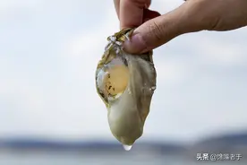 明明长得一个模样，为啥一个叫生蚝，一个叫牡蛎？原来差别在这儿图片