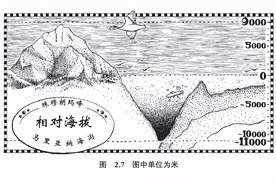 这本书没有一个公式，却讲透了数学的本质！图片