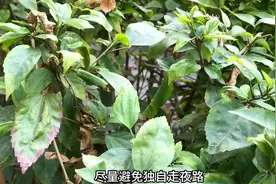 女生应该如何保护好自己？#2023这一年图片