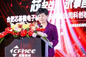 合肥“光刻机女王”程卓发家史：下海创业，公司上市，身家50亿图片