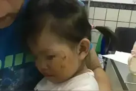 狂暴黑狗惊人事件：狗主惨遭报应，警方揭露真相！图片