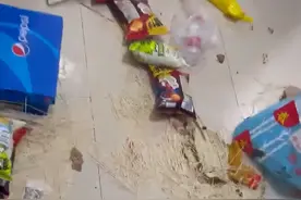 黑龙江一主人忘关狗笼，二哈和金毛把家拆个稀巴烂，主人心态崩了图片