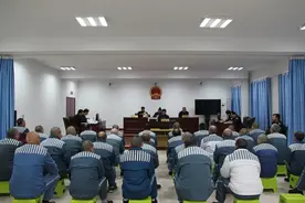 不在监狱服刑的另一种方式——假释图片