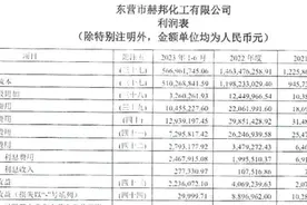 鲁股看门道｜拟置入资产业绩波动较大，山东华鹏重组转型前景难料图片