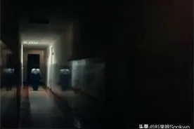 兔子大象水族馆？最近爆火的《动物园游客守则》究竟是什么？图片