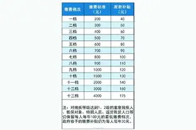 重庆市城乡居民基本养老保险缴费档次有新调整 最低缴费档次：200元/人/年 最高缴费档次：4000元/人/年图片