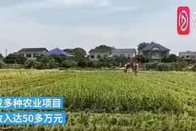 长沙42岁农民种田15年，被评为“高级农民”年收入50万图片