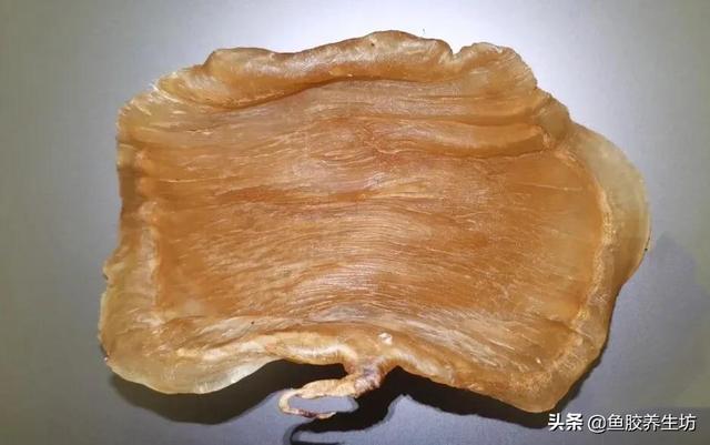 越南巴沙鱼胶 2026年越南巴沙鱼鱼胶好不好