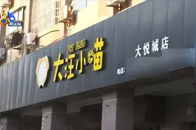 女孩到宠物店“撸猫”被抓伤 宠物店有责任？图片