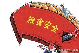 保障国家粮食安全，政府采取了一系列反常举动图片