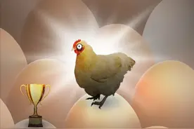 母鸡下蛋后为什么会咯咯叫，是因为屁股疼吗？图片