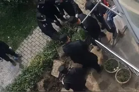 上海一老人自家院子种菜被城管强行清理？街镇回应：实为占用公共地块图片