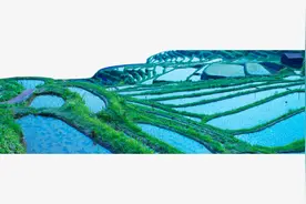 十首秧田诗词，漠漠水田，青青秧苗，农村特有风光，也是无比旖旎图片
