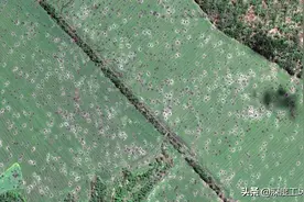 卫星照片显示，俄军炮兵误差达60米：发射100发炮弹命中只有几发图片